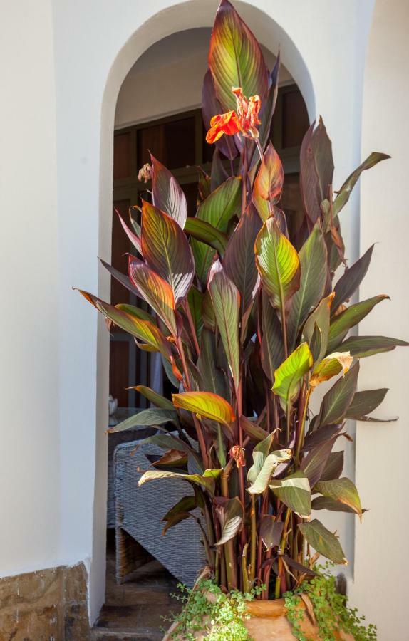 Amani Luxury Apartments Mombasa Bagian luar foto